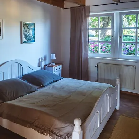 Reetdachfachwerkvilla Am Wiesengrund Appartement *