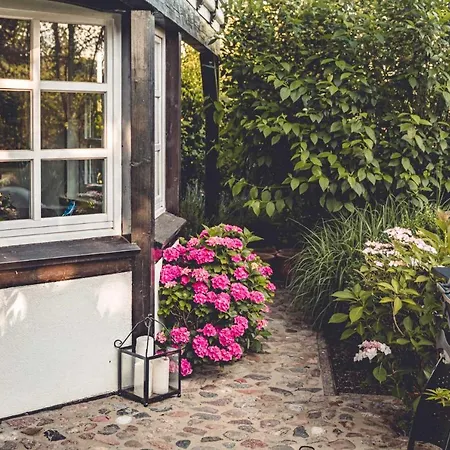 Appartement Reetdachfachwerkvilla Am Wiesengrund *
