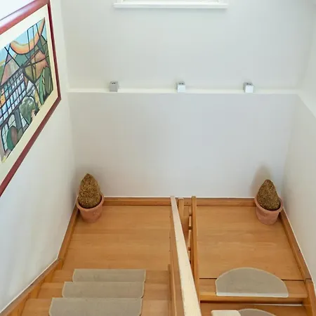 Reetdachfachwerkvilla Am Wiesengrund Bergen Auf Rugen
